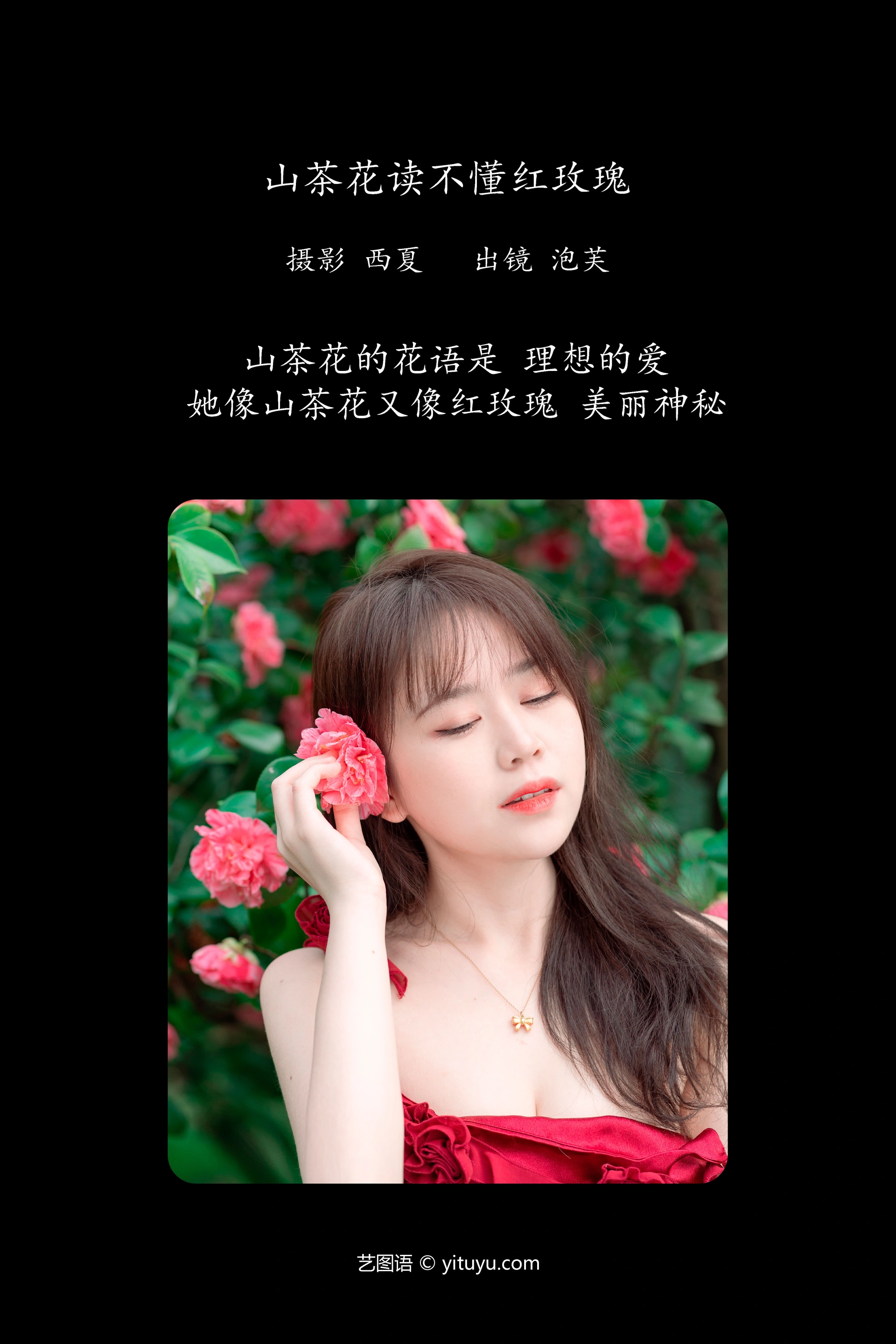 [YITUYU艺图语]2023.12.24 山茶花读不懂红玫瑰 泡芙小方 0